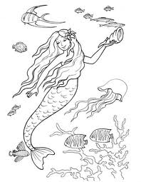 mermaid 27